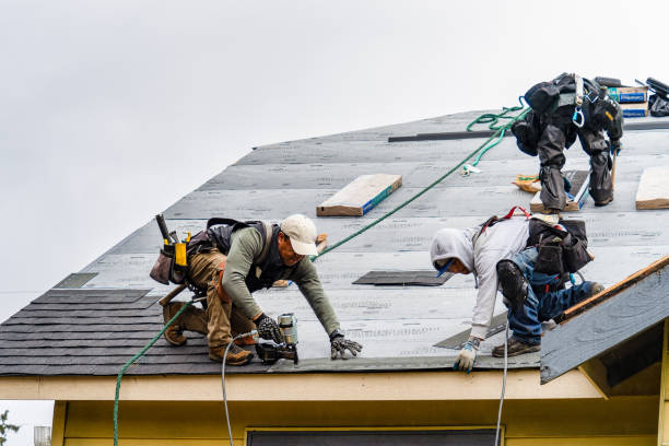 Professional Gutter Installation technician working in Shiro, TX